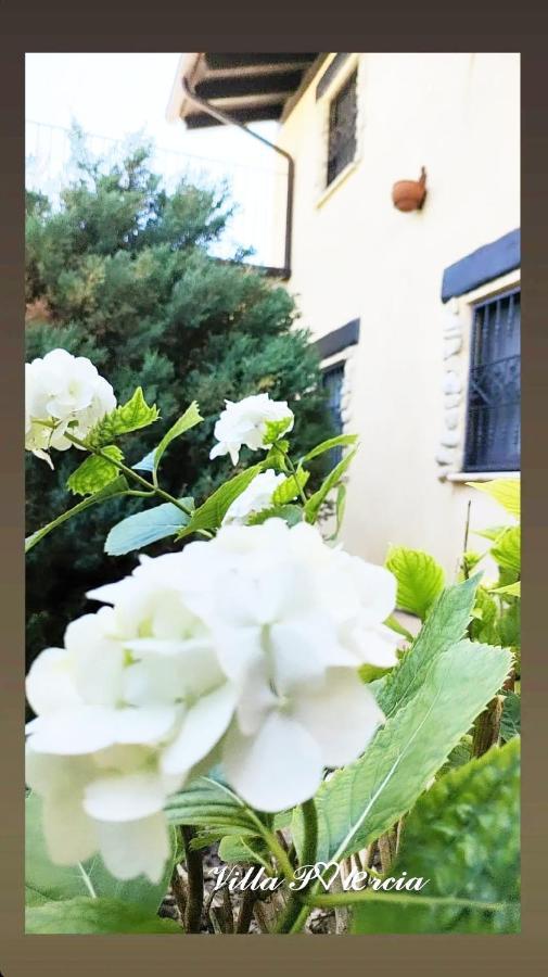Villa Polercia Cupello ภายนอก รูปภาพ