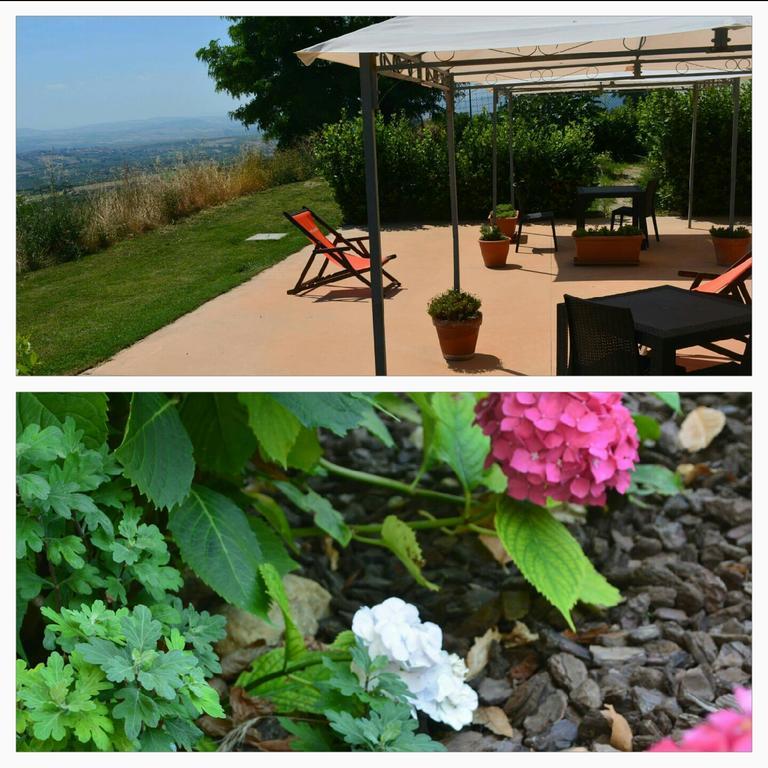 Villa Polercia Cupello ภายนอก รูปภาพ